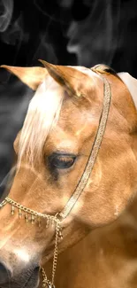 Majestic horse with golden harness on smoky black background.