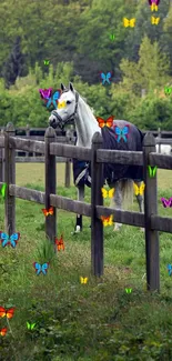 Elegant white horse standing in a lush, green pasture with wooden fencing.