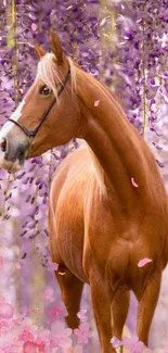 Elegant horse amidst lavender blossoms, serene mobile wallpaper.