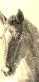 Majestic horse in snow capturing serene nature beauty.