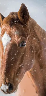 Brown horse with white blaze in gentle snowfall.