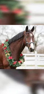 Horse with festive wreath in winter setting.