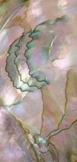 Iridescent shell texture with pastel hues.