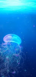 Glowing jellyfish in a blue ocean background wallpaper.