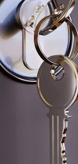 Silver key in lock with elegant metallic design.