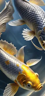 Elegant Koi fish wallpaper with vibrant colors