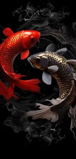 Elegant koi fish design with red and black fish on dark background.