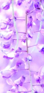 Delicate purple flower mobile wallpaper with soft, serene blossoms.