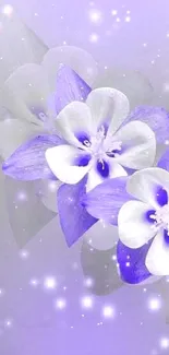 Lavender flower wallpaper with soft glow.