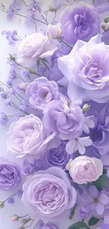 Lavender roses mobile wallpaper featuring delicate floral design.