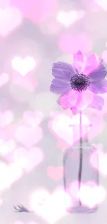 Lavender flower in glass vase with soft bokeh background.