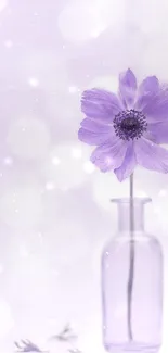 Lavender flower in vase with soft pastel background.