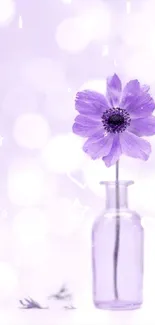 Lavender flower in a vase with bokeh background.