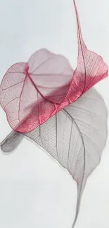 Delicate pink and gray leaves create an elegant mobile wallpaper design.