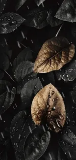 Dark leafy wallpaper with dew-covered leaves.