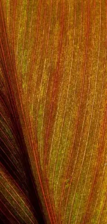 Elegant brown leaf texture mobile wallpaper.