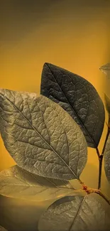 Golden illuminated leaves on a calming background.