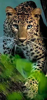 Elegant leopard poised on a tree branch in a natural setting, perfect for mobile wallpaper.