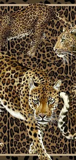 Realistic leopard print with detailed leopards on phone wallpaper.