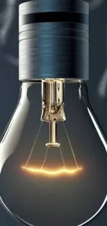 Elegant light bulb with glowing filament on dark gray background.