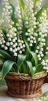 Lily of the Valley flowers in a woven basket.