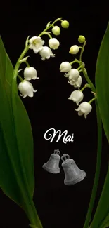 Lily of the valley flowers with green leaves on a black background.