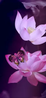 Mobile wallpaper with lotus flowers and a butterfly on a purple background.