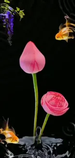 Two lotus flowers with goldfish on a dark background.