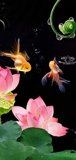 Vibrant lotus flowers and goldfish on a black background with green leaves.