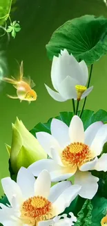 Vibrant green wallpaper with lotus flowers and goldfish.