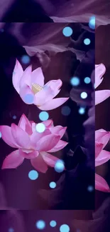 Elegant pink lotus blossoms on a dark, mystical background with soft blue dots.