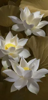 Elegant wallpaper with blooming white lotus flowers