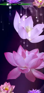 Pink lotus flowers on a purple background with stars.