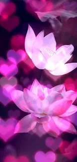 Beautiful lotus flowers with pink and purple hues on a serene background.