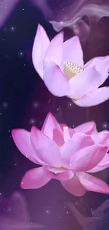 Purple and pink lotus flowers on a dreamy background wallpaper.