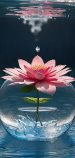 A pink lotus inside a clear water globe with a serene blue background.