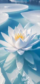 White lotus flower on serene blue water background.