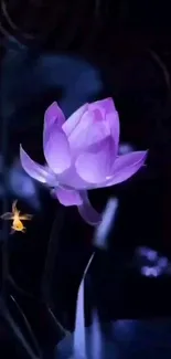 Purple lotus with a small golden fish on a dark background.