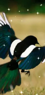 Graceful magpie in mid-flight with vibrant wings.