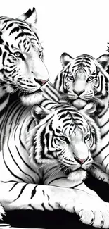 Black and white artistic illustration of three white tigers with a forest background.