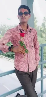 Stylish man on a bridge holding a rose.