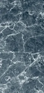 Elegant marble texture wallpaper with gray tones.