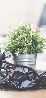 Lace mask with green plant in metal pot aesthetic wallpaper.