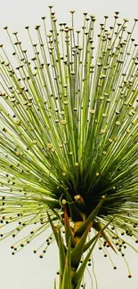 Close-up of a unique green floral design on a minimalist background.