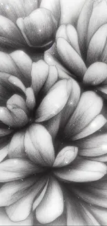 Monochrome pencil drawing of elegant floral petals in grayscale pattern.