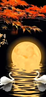 Two swans swim under a glowing moon and vibrant autumn maples.