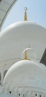 Elegant view of a mosque's dome architecture.