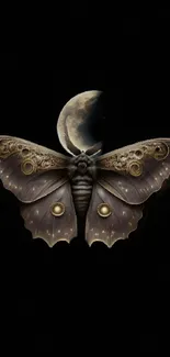 Elegant moth with celestial moon background.