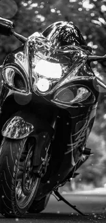 Monochrome motorcycle on a forest road, exuding elegance and style.