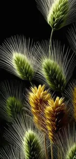 Abstract elegant grass art in green and gold tones on black background.